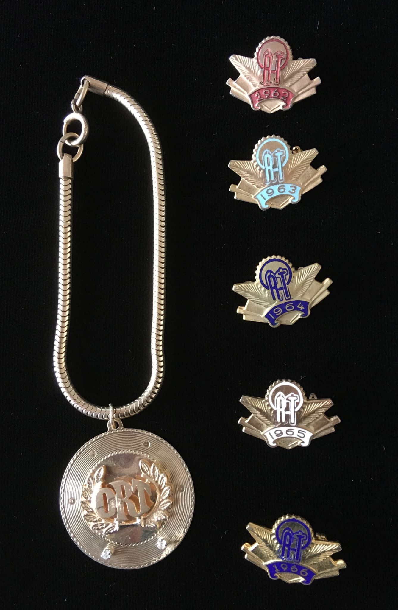 Elena Kaplan Ort Pins | ORT America